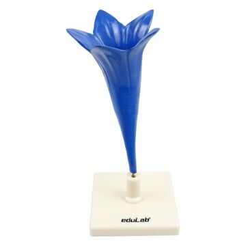 PEYGAMBER ÇİÇEĞİ