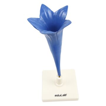 PEYGAMBER ÇİÇEĞİ