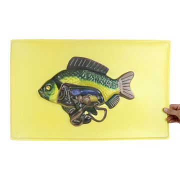 KILÇIKLI BALIĞIN İÇ YAPISII MODELİ