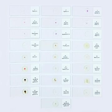 PREPARAT 25'LİK SETİ (HAYVAN ANATOMİSİ)