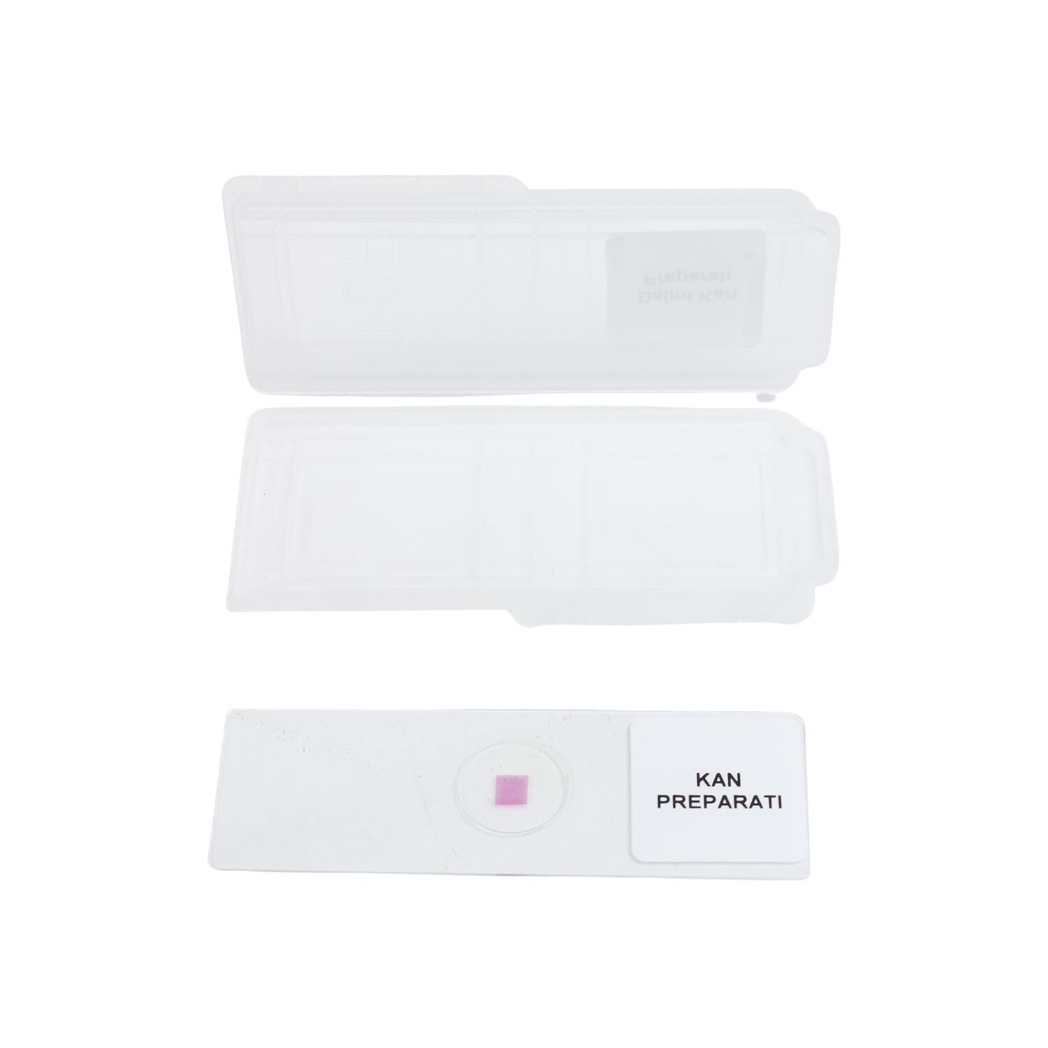 DAİMİ KAN PREPARATI