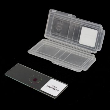 DAİMİ KAN PREPARATI