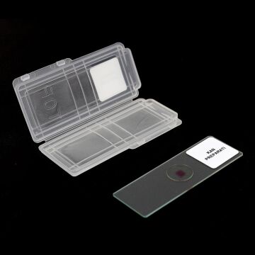 DAİMİ KAN PREPARATI