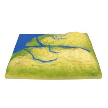 ARAZİ YAPISI MODELİ