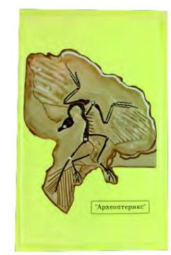 ARHEOPTERİKS (LEVHA)