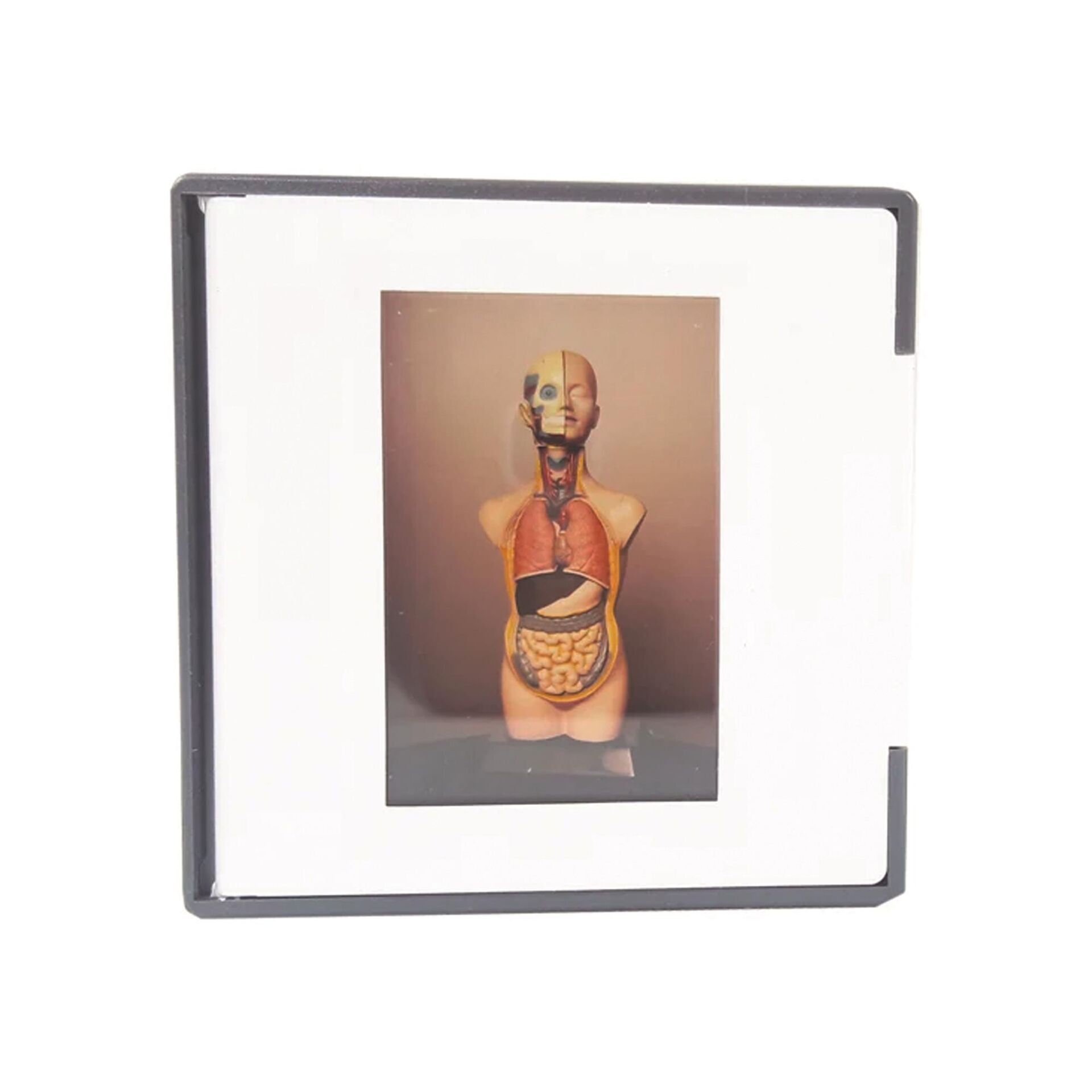 DİYAPOZİTİF (EDULAB)