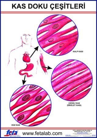 Kas Doku Eğitim Plakası