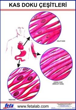 Kas Doku Eğitim Plakası