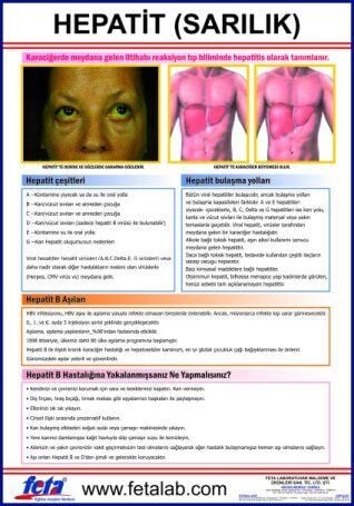 Hepatit Eğitim Plakası