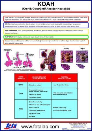 Koah Eğitim Plakası