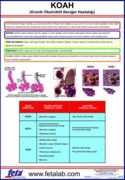 Koah Eğitim Plakası