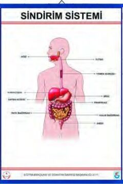 SİNDİRİM TABLOSU (KAPLAMALI)