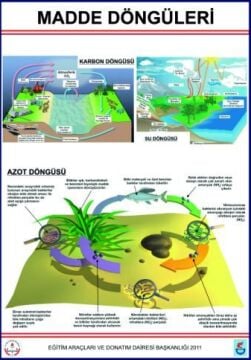 MADDE DÖNGÜLERİ LEV.(KARBON, AZOT VE SU DÖNGÜLERİ-70X100 CM)