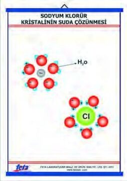 TUZ KRİSTALİNİN SUDA ÇÖZÜNMESİ LEVHASI (70X100 CM)