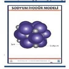 SODYUM İYODÜR (NAL) MODELİ LEVHASI (70X100 CM)