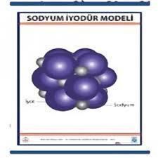 SODYUM İYODÜR (NAL) MODELİ LEVHASI (70X100 CM)