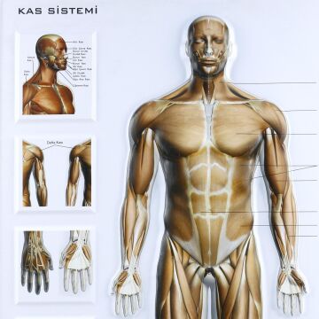 KAS SİSTEMİ LEVHASI KABARTMA