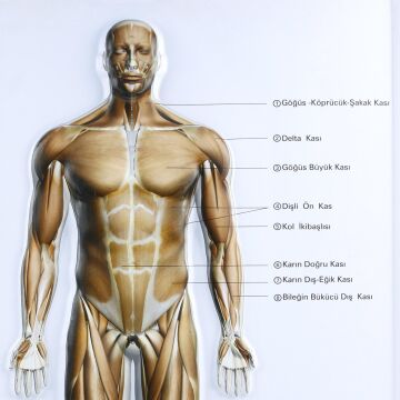 KAS SİSTEMİ LEVHASI KABARTMA