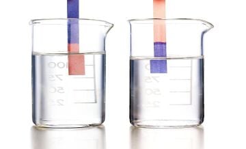 TURNUSOL KAĞIDI (Kırmızı)