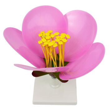 ŞEFTALİ ÇİÇEĞİ