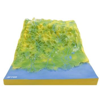 NEHİR YATAĞI MODELİ