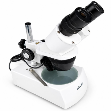 BİNOKÜLER MİKROSKOP STEREO