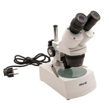 BİNOKÜLER MİKROSKOP STEREO