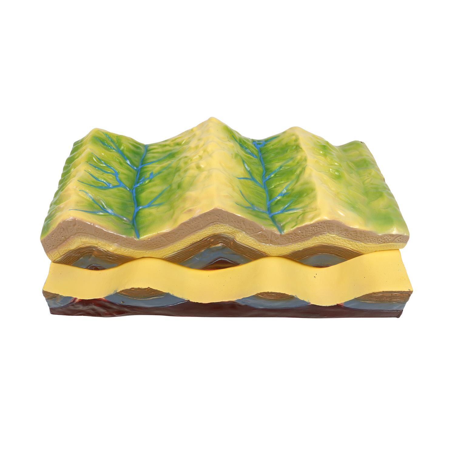 KATMANLI YAPI MODELİ VE JEOMORFOLOJİK EVRİM