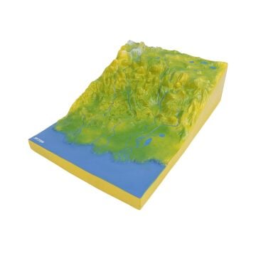 KABUK HAREKETİ MODELİ