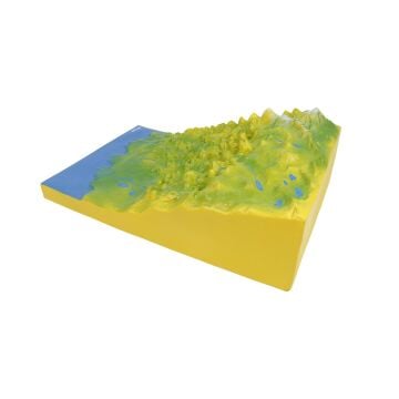 KABUK HAREKETİ MODELİ