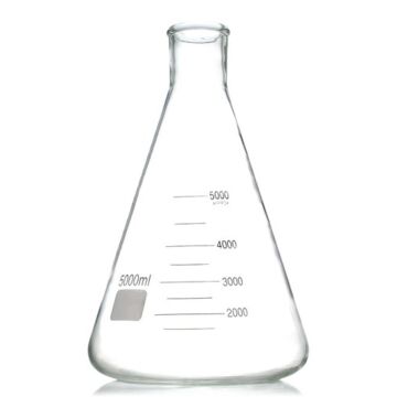 ERLENMAYER (5000 ml. Cam)