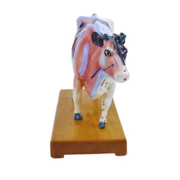 İNEK MODELİ EDULAB