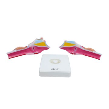 GIRTLAK MODELİ EDULAB