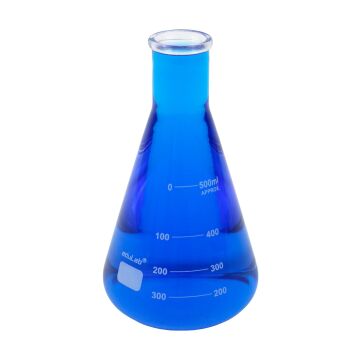 ERLENMAYER (500 ml. Cam)