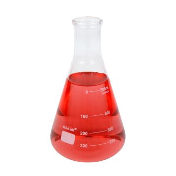 ERLENMAYER (500 ml. Cam)