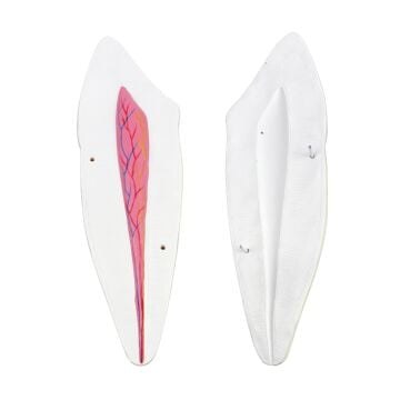 DİŞ MODELLERİ SETİ 3'LÜ SET