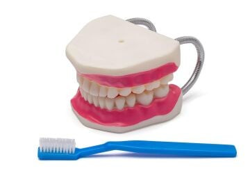 DİŞ FIRÇALAMA MODELİ