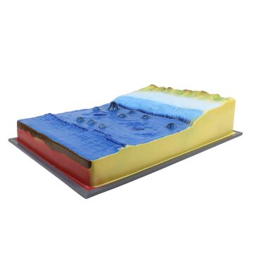 DENİZ DİBİNİN YAPISI