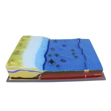 DENİZ DİBİNİN YAPISI